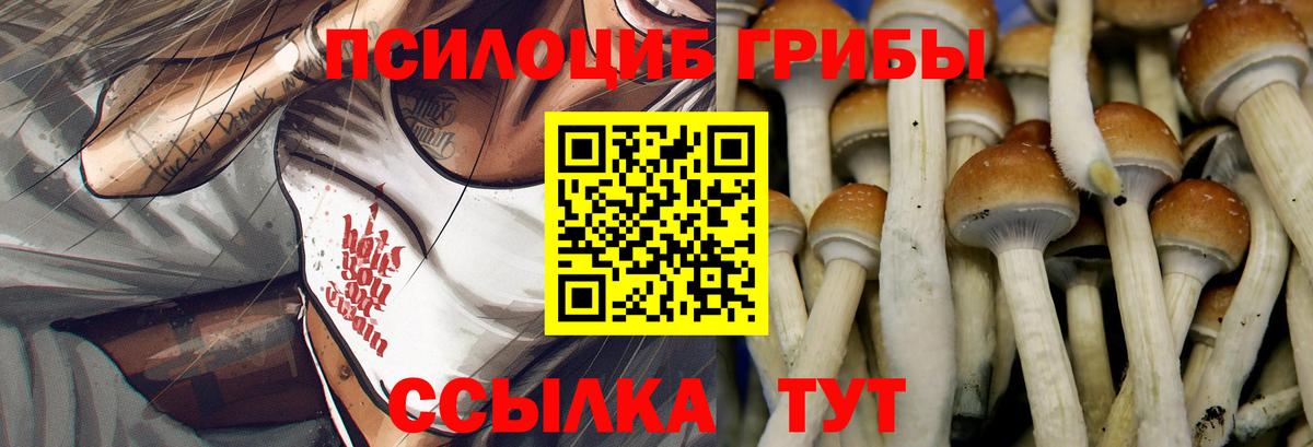 Галлюциногенные грибы Magic Shrooms  Вход с VPN  Вичуга  Псилоцибиновые грибы Psilocybine cubensis 
